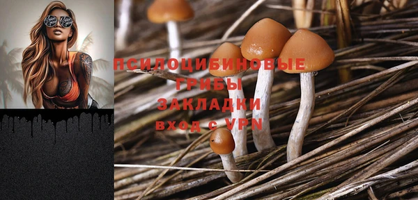 метадон Абинск