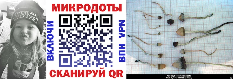 Галлюциногенные грибы прущие грибы  Нижневартовск 